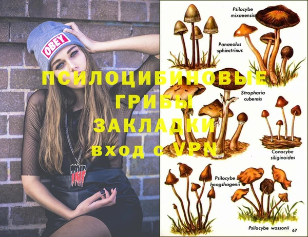 дмт Магадан