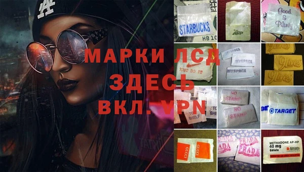 дмт Магадан