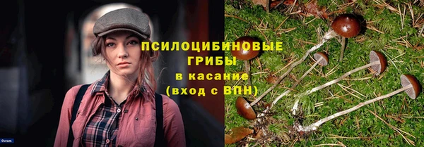 дмт Магадан