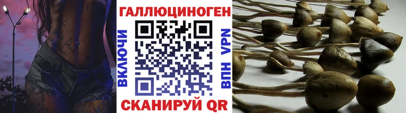 гидра как войти  Южноуральск  Галлюциногенные грибы Psilocybine cubensis  продажа наркотиков 