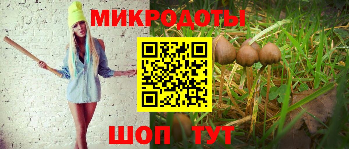 Южноуральск  Псилоцибиновые грибы Psilocybe  Галлюциногенные грибы Psilocybe  Вход с VPN 