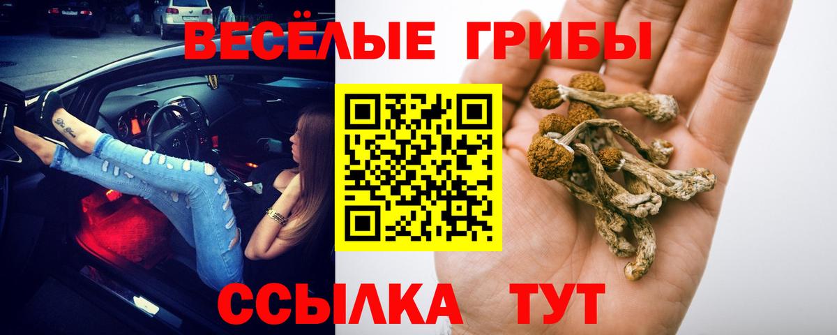 купить  цена  Псилоцибиновые грибы мухоморы  Вход с VPN  Псилоцибиновые грибы MAGIC MUSHROOMS  Южноуральск 